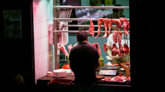 boucherie cacher à Angers